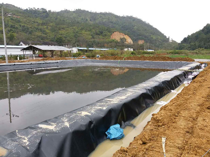 魚(yú)塘里用土工膜做防滲層需不需要回填土壤？